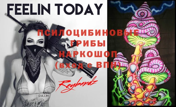 apvp Алзамай