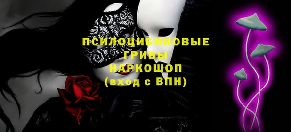 apvp Алзамай