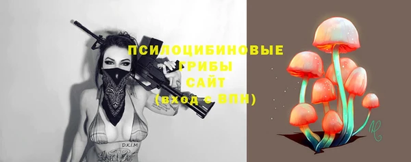 амф Алексин
