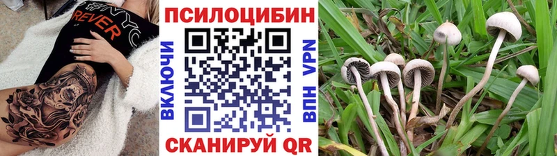 Псилоцибиновые грибы мухоморы  Ипатово 