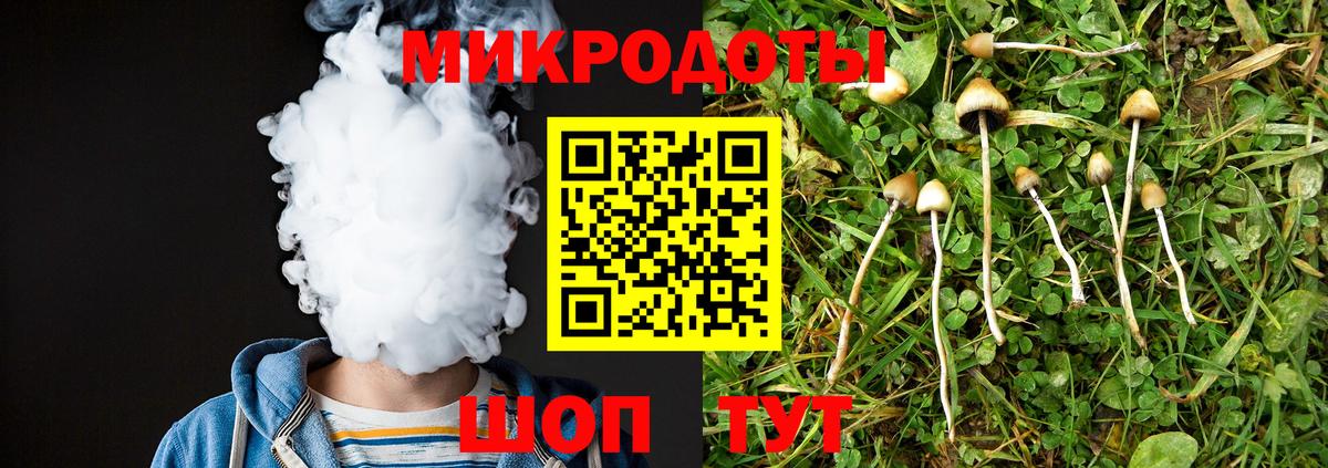 Ипатово  Галлюциногенные грибы прущие грибы  Вход с VPN 