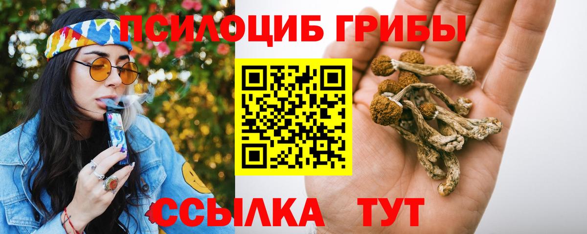 Галлюциногенные грибы GOLDEN TEACHER Ипатово